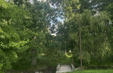 La petite bulle - Foto 17