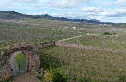 Domaine du Bouxhof - Foto 19