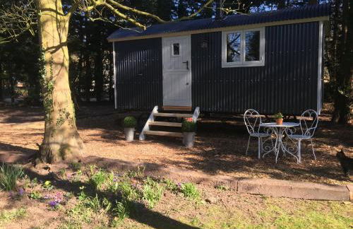 Chez Marguerite Shepherd's Hut with Private Sauna, Outside Bath - Photo 32