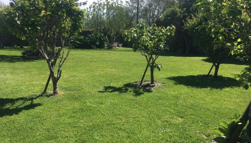 Gîtes Le Bout du Monde - Foto 3, Garden