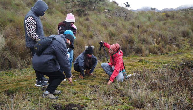 Cajas National Park Hiking Activity - Foto 5