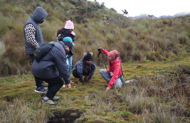 Cajas National Park Hiking Activity - Foto 5