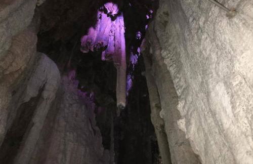 Casa vacanze I PINI E IL CILIEGIO - Foto 43