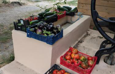 Ferme Pédagogique Bordeneuve - Foto 22