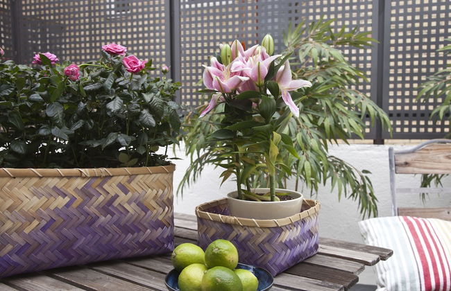 Feelathome Madrid Suites Apartments - Foto 47