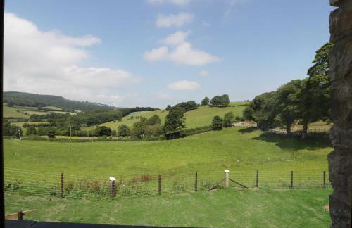 Tyn Y Celyn Isaf - Foto 28