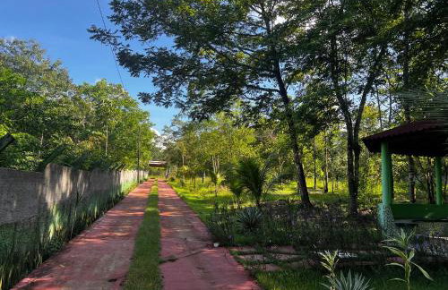 Chácara Aicram - Photo 11