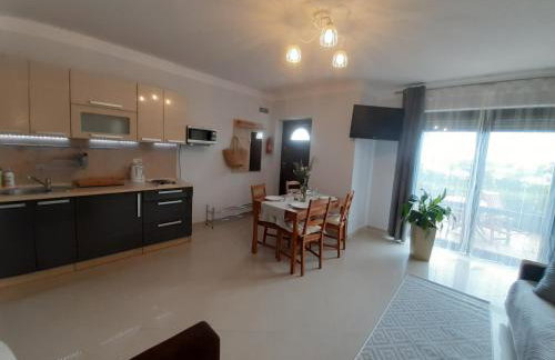 Willa na wzgórzu - Foto 39