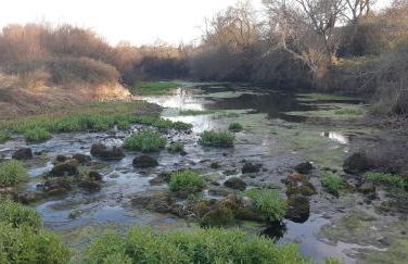 Casa Azul - Photo 40