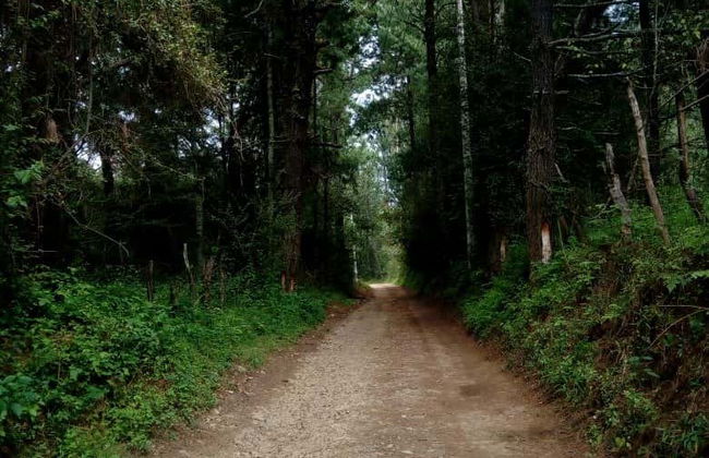 Tour de aventura en la presa de Umécuaro - Foto 5