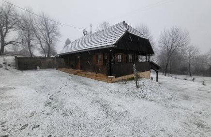 Šumski san - Foto 6