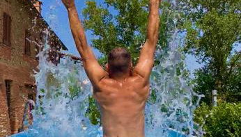 Grove Cottage: Immersed in nature & close to town - Foto 4