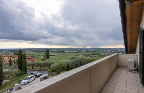 Zardo Winery - Foto 11