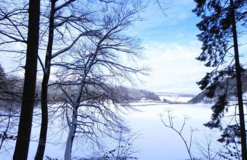 Apartment in the Hochsauerland region in a quiet location - Foto 71