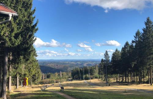 Zur alten Fabrik - Photo 29