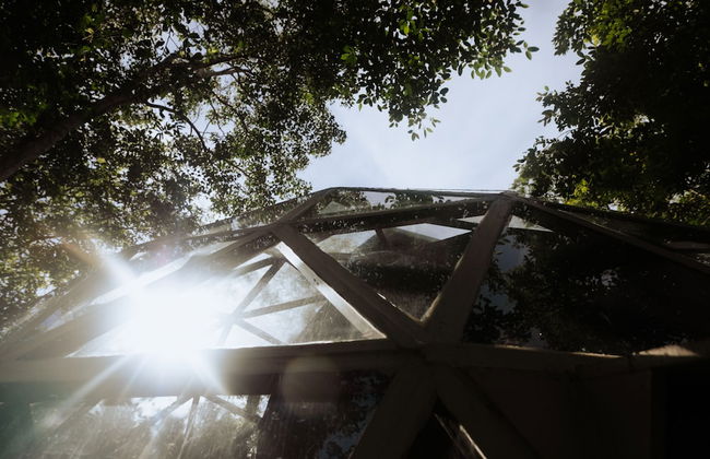 Glass 20.87 - Photo 7