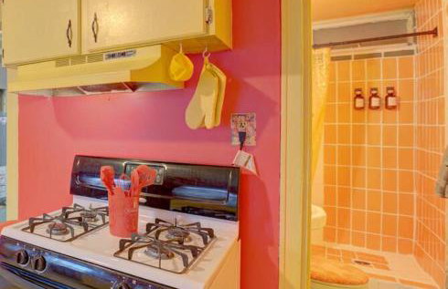 Retro 1970's Rollercoaster House 5 Mins from Cedar Point - Photo 23