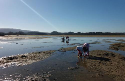 Apartamento Saudade - Foto 17