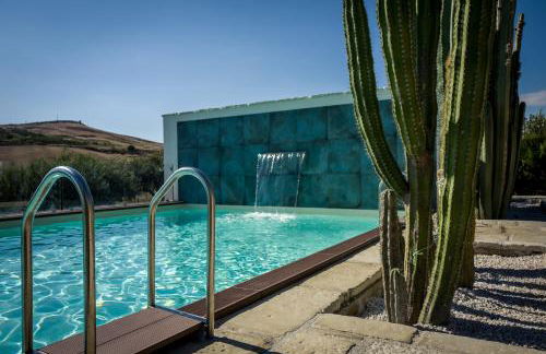 Garden Cactus - Foto 31