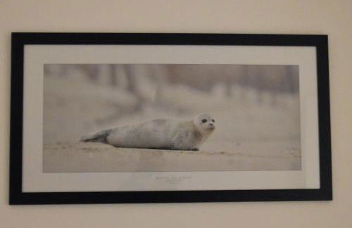 Escale à Saint Wary classé 4 Étoiles - Foto 30