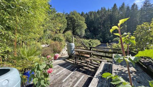 Foxglove cabin - Foto 3