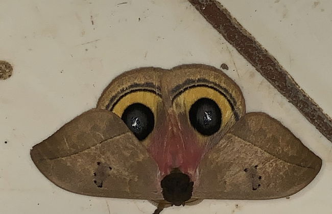 TIPS Vacation - Foto 54