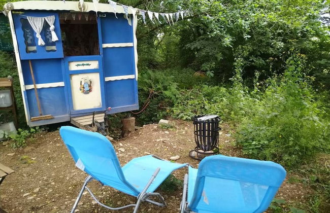 Pilgrims Shepherd's Hut - Goosewell Glynn Glamping - Foto 13