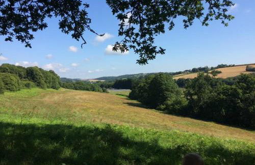 THE ANNEX, Lostwithiel Small Double Bed, Private Parking, Quiet Location - Foto 37