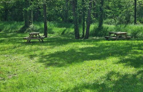 Les Chalets de SAUMUR, Piscine & Parc boisé, 100m du CadreNoir - Foto 21