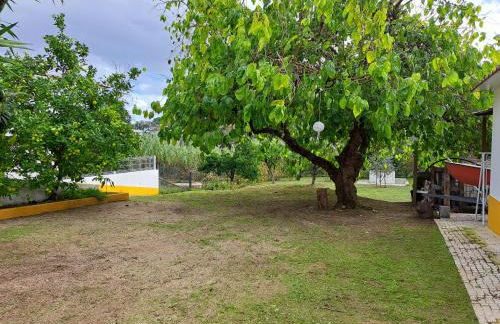 Casa da Amoreira - Barragem de Montargil - Foto 1