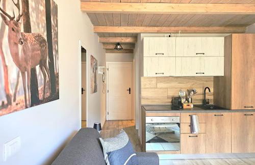 Moda Apartments Scalette - Foto 17