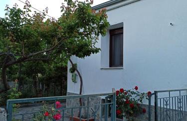 ΠΑΡΑΔΟΣΙΑΚΗ ΚΑΤΟΙΚΙΑ - Foto 1