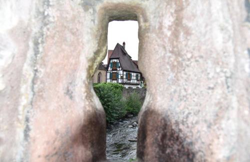 Le brin d'osier - Photo 21