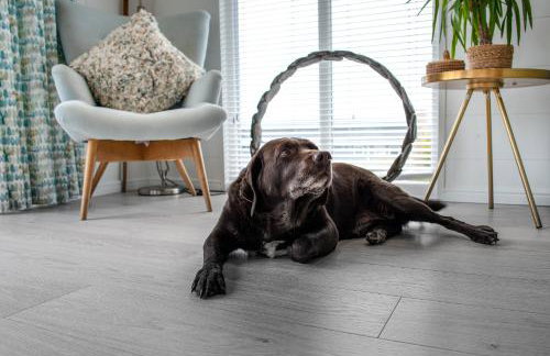 Gull Rocks Beach Lodges - Foto 34