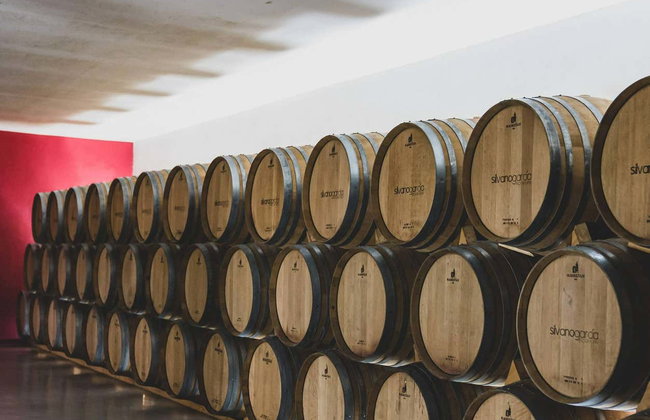 Visita a las bodegas Silvano García - Foto 7