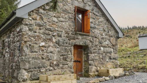 Brithgwm Canol - Foto 3