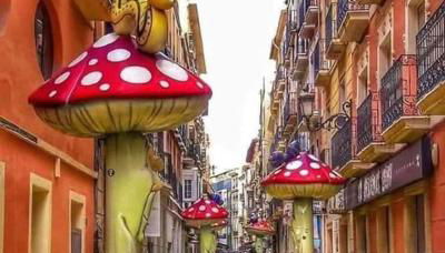 Big Terrace in private Loft on San Francisco street - Photo 2