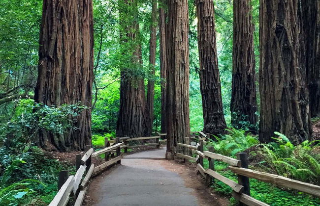 Private Day Trips from San Francisco - Photo 4