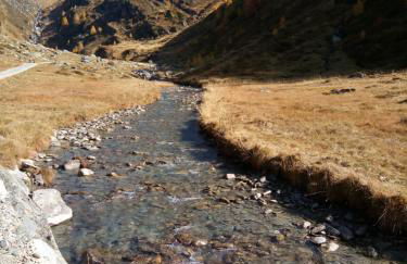 Pension & Appartament Anna - Foto 27