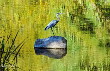 Casa Rural Los Cipreses - Photo 47