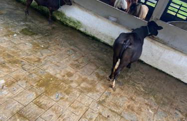 Lar do sertão- flat dentro do Hotel Fazenda Pedra do Rodeadouro - Photo 11