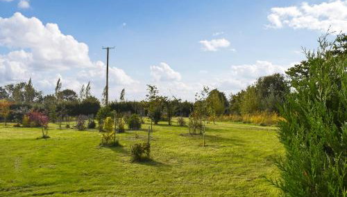 Owls Nest - Foto 2, Garden