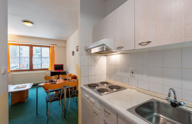 1 bedroom Apartment in Jáchymov - Photo 7
