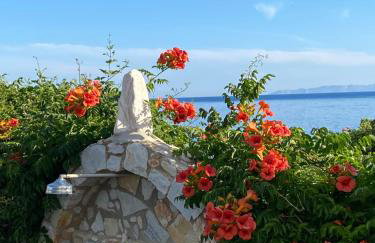 Nissiotiko Hotel - Photo 26