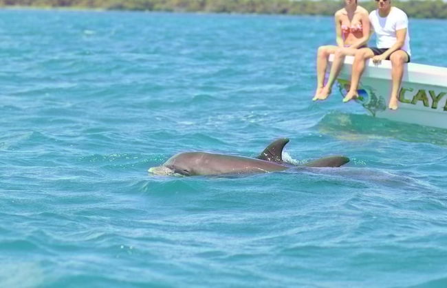 Beautiful Jungle Loft With Rooftop Pool and Gym - Photo 45