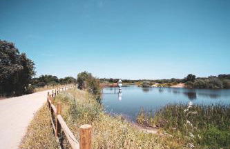 Herdade do Barrocal de Baixo - Foto 123