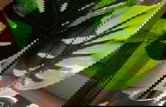 Casa Messi - Casa Messi a Vicolo Della Rivolta 31 Apt 4 - Foto 14