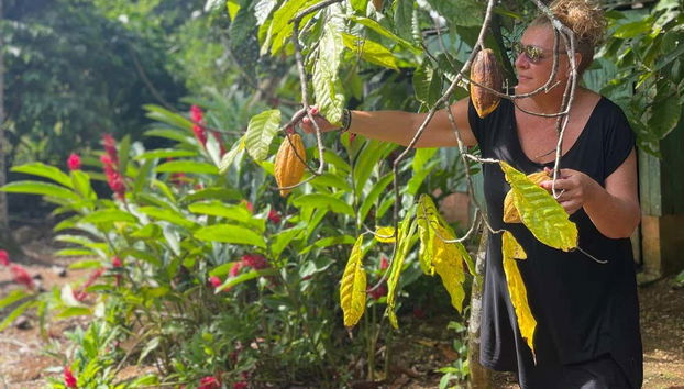 Visitando una plantación de cacao