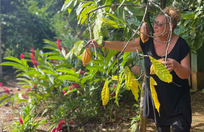 Tour en buggy por Samaná - Foto 3