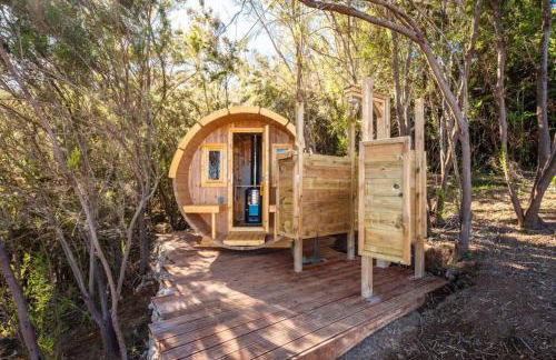 El Pino Centenario 3 - Foto 10